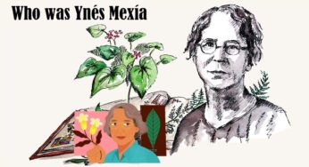 Google Doodle celebrates the Mexican-American botanist and explorer Ynés Mexía