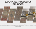Tabriz Persian Area Living Room Rugs