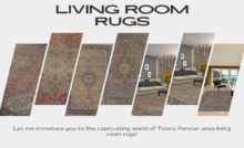 Living Room Rugs