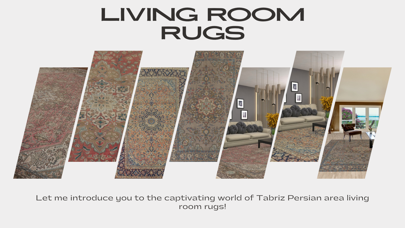 Living Room Rugs